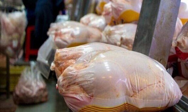 ۲۵۰ کیلوگرم مرغ فاسد در دزفول معدوم شد